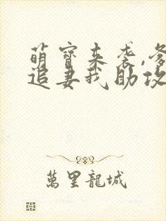 萌宝来袭,爹地追妻我助攻