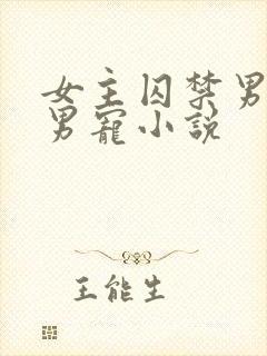 女主囚禁男主当男宠小说