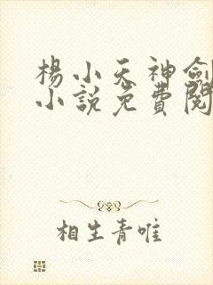 杨小天神剑无敌小说免费阅读全文