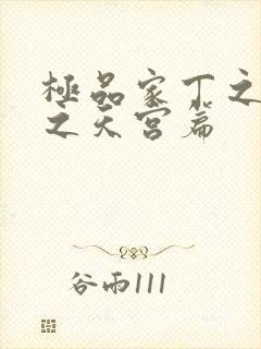 极品家丁之淫欲之天宫篇