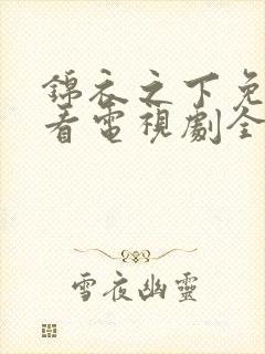 锦衣之下免费观看电视剧全集在线播放