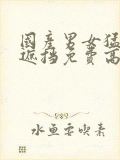 国产男女猛烈无遮挡免费高清