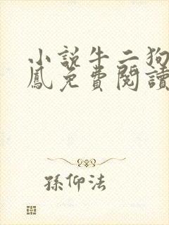 小说牛二狗陈小凤免费阅读