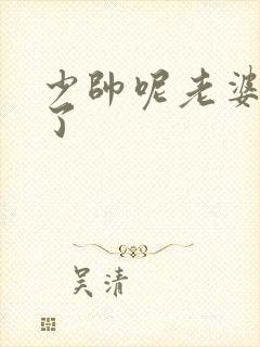 少帅呢老婆又跑了