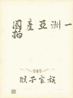 国产亚洲一区自拍