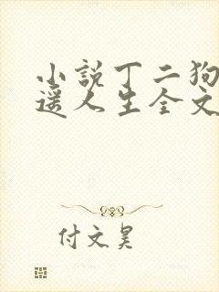 小说丁二狗的逍遥人生全文阅读