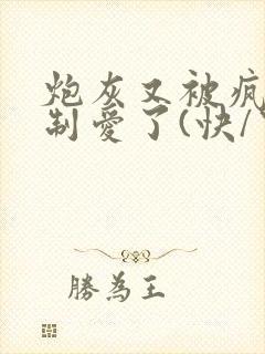 炮灰又被疯批强制爱了(快/穿封面