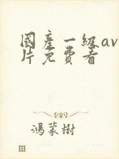 国产一级av大片免费看