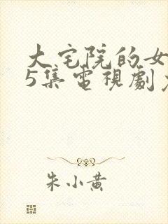 大宅院的女人45集电视剧免费观看封面