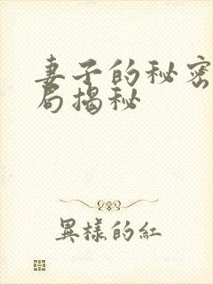 妻子的秘密大结局揭秘