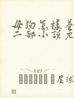 母狗怎样养熟第二部小说免费阅读