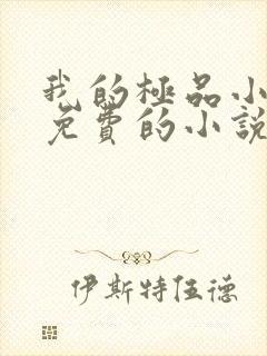 我的极品小姨全免费的小说