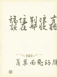 稳住别浪有声小说在哪收听免费