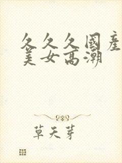 久久久国产精品美女高潮