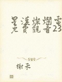 星汉灿烂电视剧免费观看23集