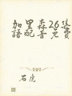 加里森26集国语配音免费观看