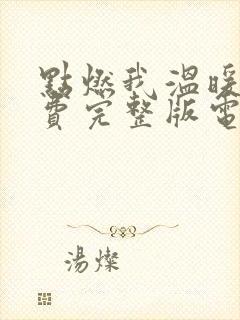 点燃我温暖你免费完整版电视剧高清封面