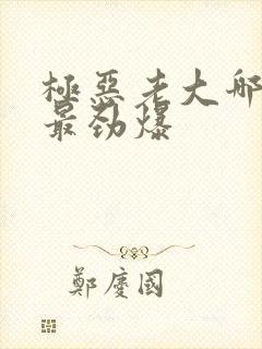 极恶老大哪一集最劲爆