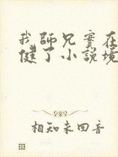 我师兄实在太稳健了小说境界划分