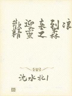 欢迎来到浪荡的精灵之森封面