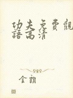 功夫免费观看国语高清