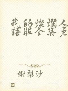 我的灿烂人生国语版全集免费观看