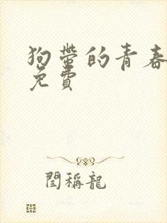 狗带的青春奇犽免费封面