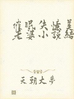 催眠失忆美母变老婆小说结局封面