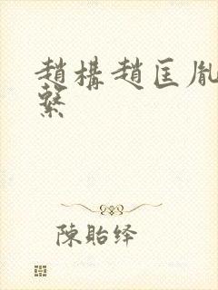 赵构赵匡胤啥关系