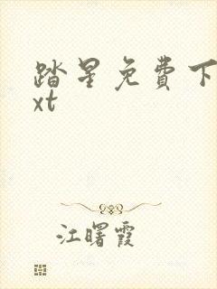 踏星免费下载txt