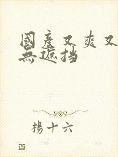 国产又爽又黄又无遮挡