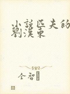 小说匹夫的逆袭刘汉东