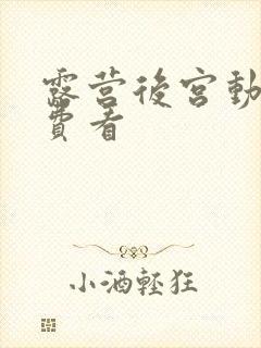 露营后宫动漫免费看