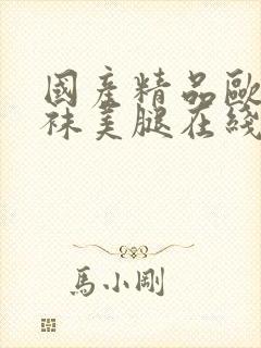 国产精品欧美丝袜美腿在线