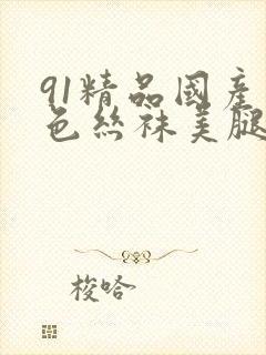 91精品国产黑色丝袜美腿