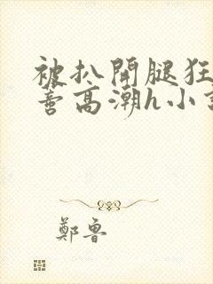 被扒开腿狂揉花蒂高潮h小说封面