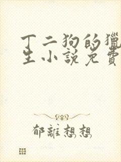 丁二狗的猎艳人生小说免费全文下载