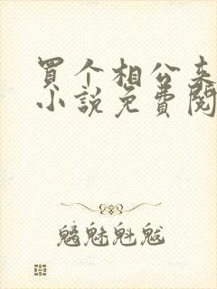 买个相公来种田小说免费阅读全文