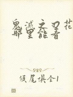 鬼灭之刃花街篇哪里能看