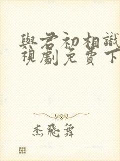 与君初相识 电视剧免费下载