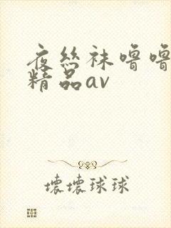 夜丝袜噜噜亚洲精品av封面