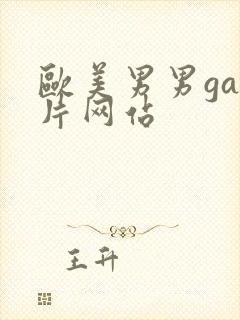 欧美男男gay片网站