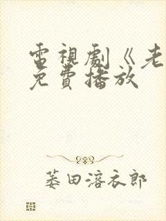 电视剧《老舅》免费播放