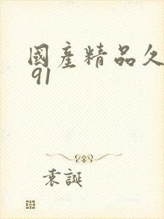 国产精品久久久 91