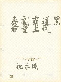 泰剧霸道黑帮少爷爱上我