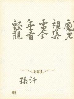 轻年电视剧在线观看全集免费28