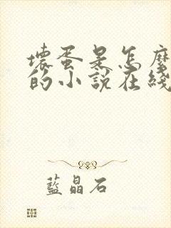 坏蛋是怎么练成的小说在线阅读