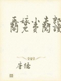 再嫁小夫郎笔趣阁免费阅读封面