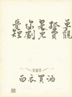 爱你是孤单心事短剧免费观看全集高清