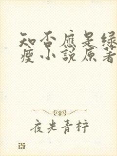 知否应是绿肥红瘦小说原著